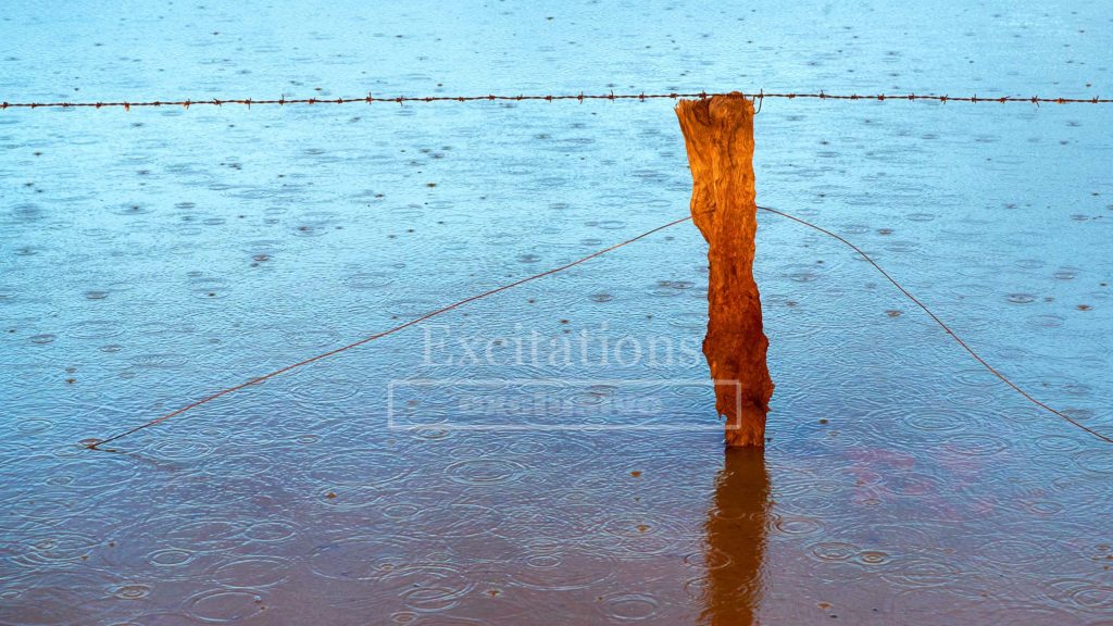 Photo of old wooden post in water with raindrops causing ripples on the surface. Outback Photography tips and tricks page