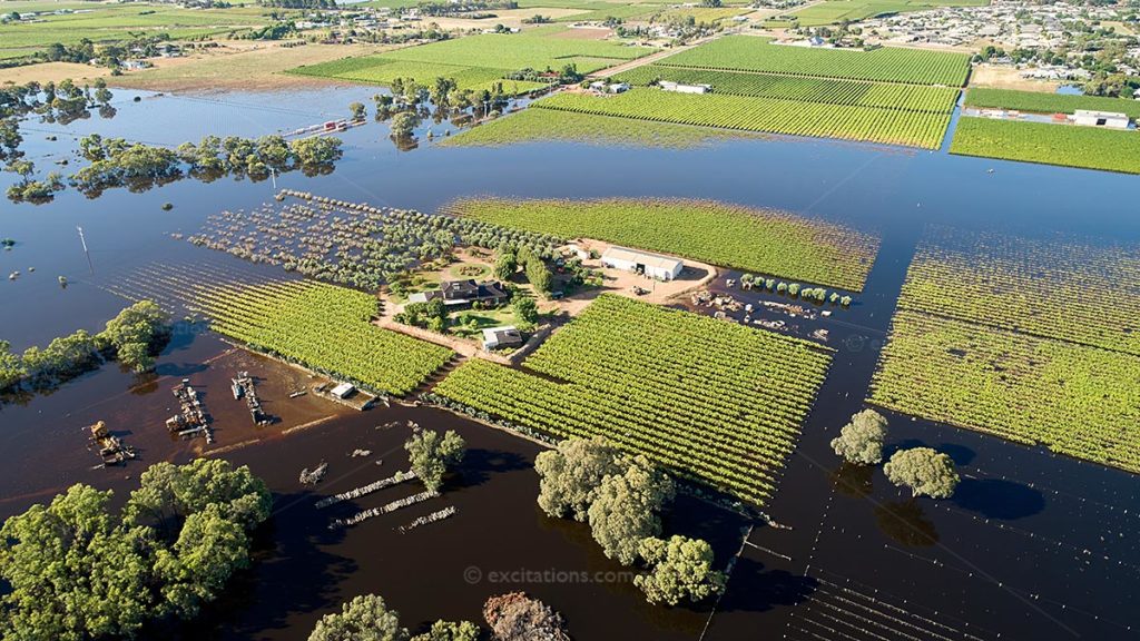 Aerial view of vineyard surrounded by water for an article on selling your stock photos online