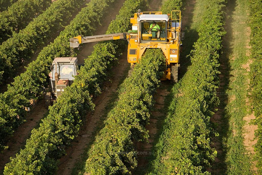 Aerial stok photo of grape harvester workinfg.